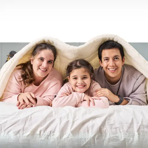 contacto &ndash; Cobitex Home